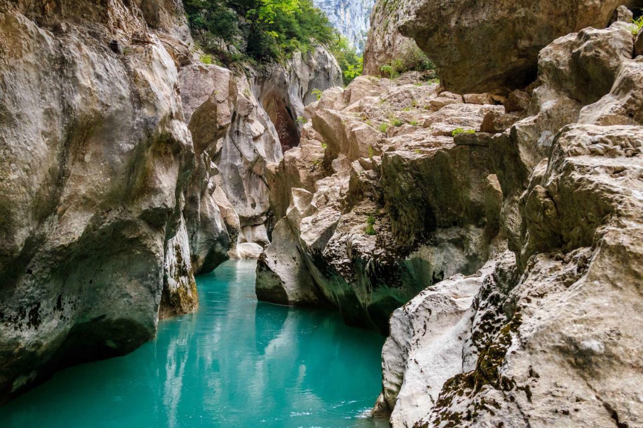 Gite De La Truffiere "Les Chenes" มงตานญัค ภายนอก รูปภาพ